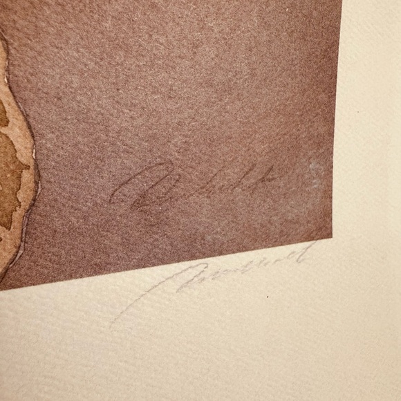 VTG Robert White Signed Lotus Pond II Art Litho 1984 by Art Image Inc 19”x25” - Picture 5 of 7